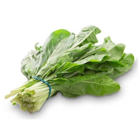 ERBETTE MAZZI (BIETA) FRESCHI